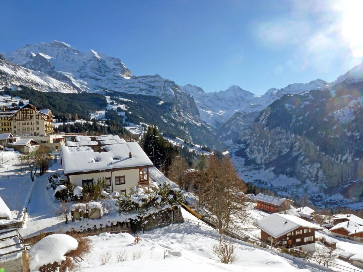 Apartment Panoramapark Soleil Haus D Apt 3 By Interhome Wengen Exterior foto